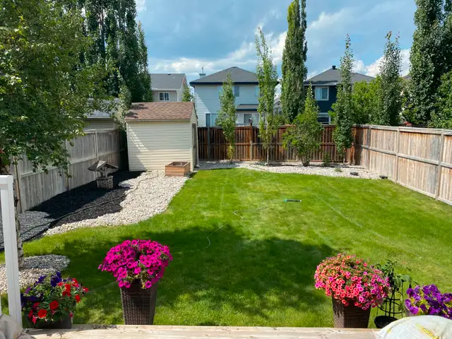 Yard Looking Rough? We Design & Transform Outdoor Spaces.62863253080577122