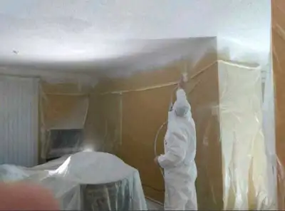 Highly Skilled Painter looking for Work (smaller jobs welcome), View more