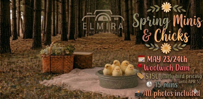 Spring Minis & Chicks — Limited Sessions! Elmira Photography is offering magical mini photography se...