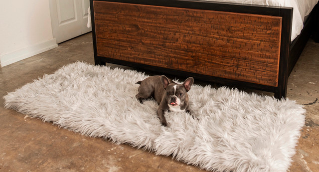 Beautiful, Large, Faux Fur DOG BED / Matt / Carpet - Orthopedic in Accessories in Oakville / Halton Region