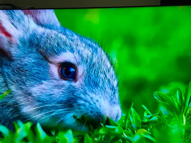 Samsung 85 inches 4K smart like new here in TVs in Ottawa - Image 8