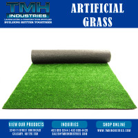 Artificial Grass/Turf