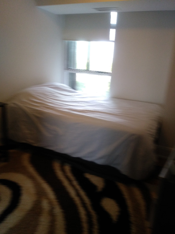 Special furnished room immediately for rent in Room Rentals & Roommates in City of Toronto - Image 2