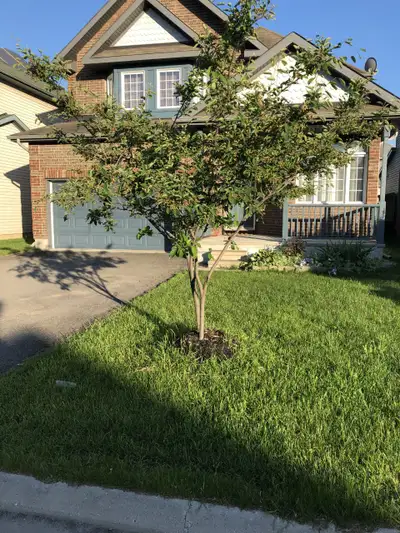 Vacation rental, View more