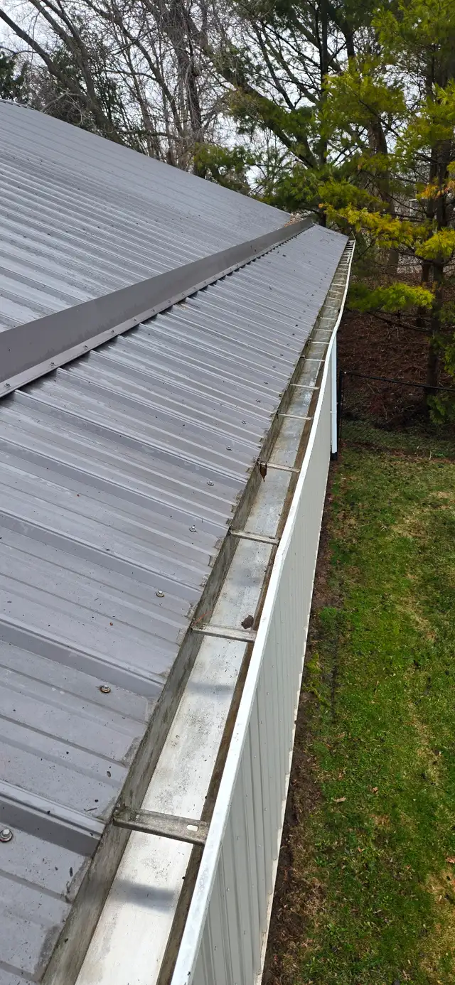 Gutter and Window Cleaning560187903627110403