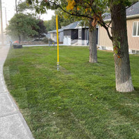 Revamp Your Lawn with Fresh Sod!