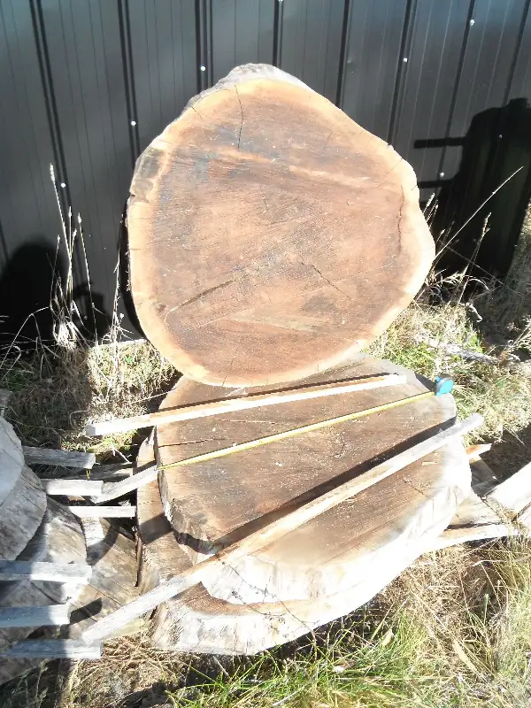 Live edge cookies in Hobbies & Crafts in Ottawa - Image 5