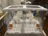Large Vision Bird Cage 