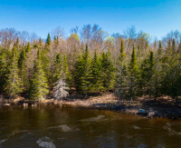 Waterfront Property, Build a dream cottage 3 hr north of Toronto