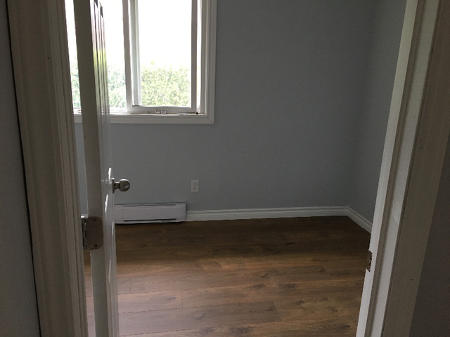 Renovated 2 Bedroom Apartment-East End in Long Term Rentals in Sault Ste. Marie - Image 4