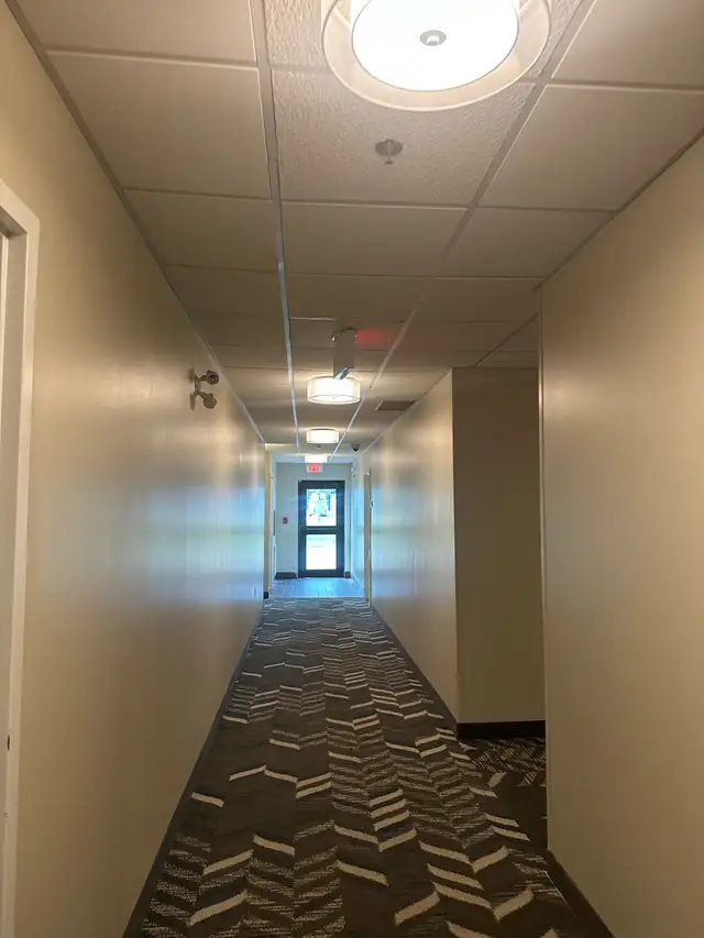professional painter