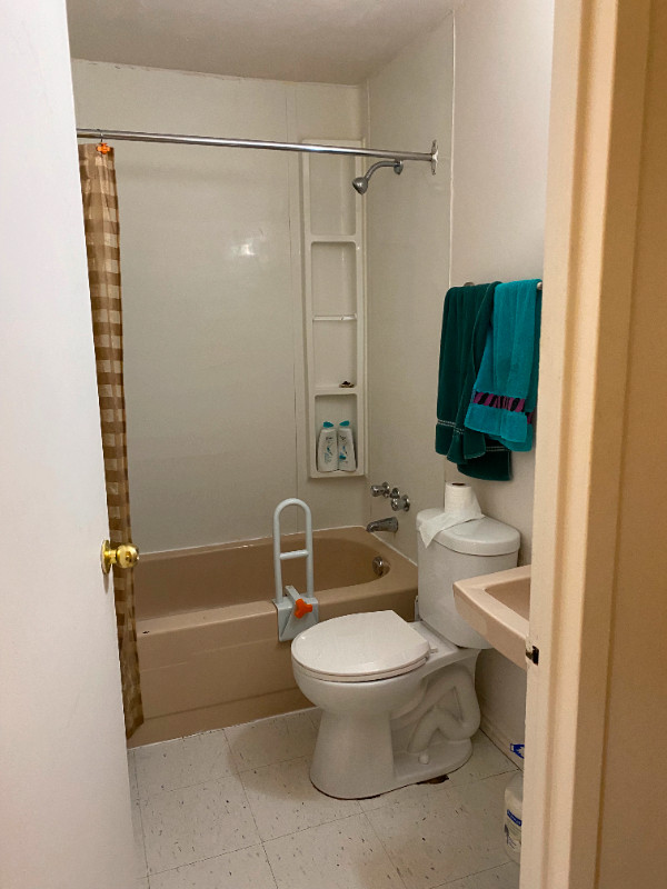 Looking for Roommate Kingston, Ontario Room Rentals & Roommates