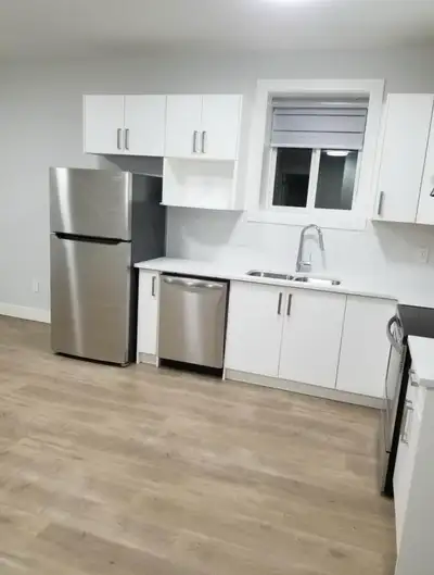 2 bedroom basement suite for rent in Langley, Willoughby area.Includes dishwasher, washer and dryer,...