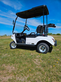 1 only 2023 Hdk Classic 2 Lithium Electric Golf Cart