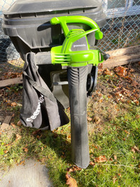 Leaf blower and vacuum 