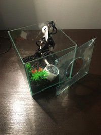 Mini Aquarium with Light 