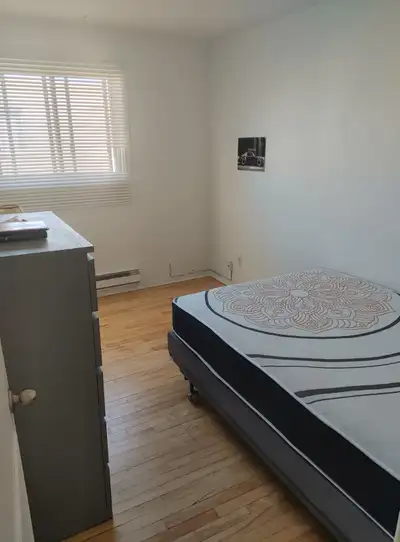 Chambre à louer, meublée, wifi et tout inclus dans un appartement très propre. Besoin d'une personne...