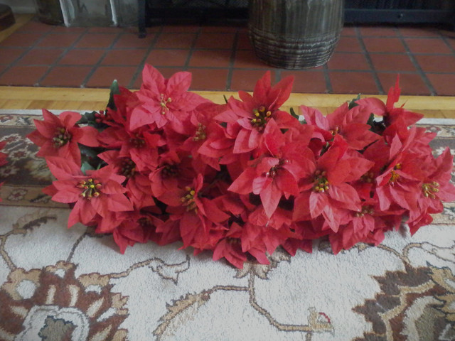 POINTSETTIA BUNDLES in Hobbies & Crafts in Moncton - Image 2