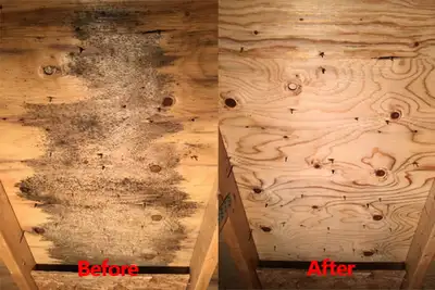 Expert Attic Mold Remediation , Water Damage Restoration Services Mold Removal, Water Leak Damage, R...