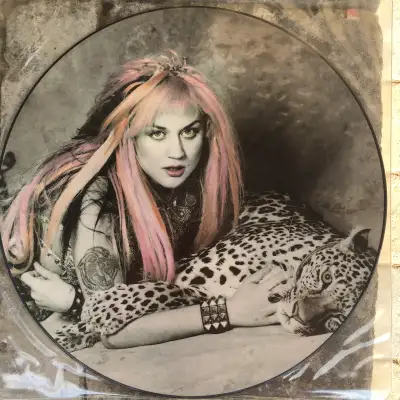 3 Song 12 inch -Don't Turn Away, Dolphins Metal Mix, Hard To Get, Leopard on cover. Vice Squad Origi...