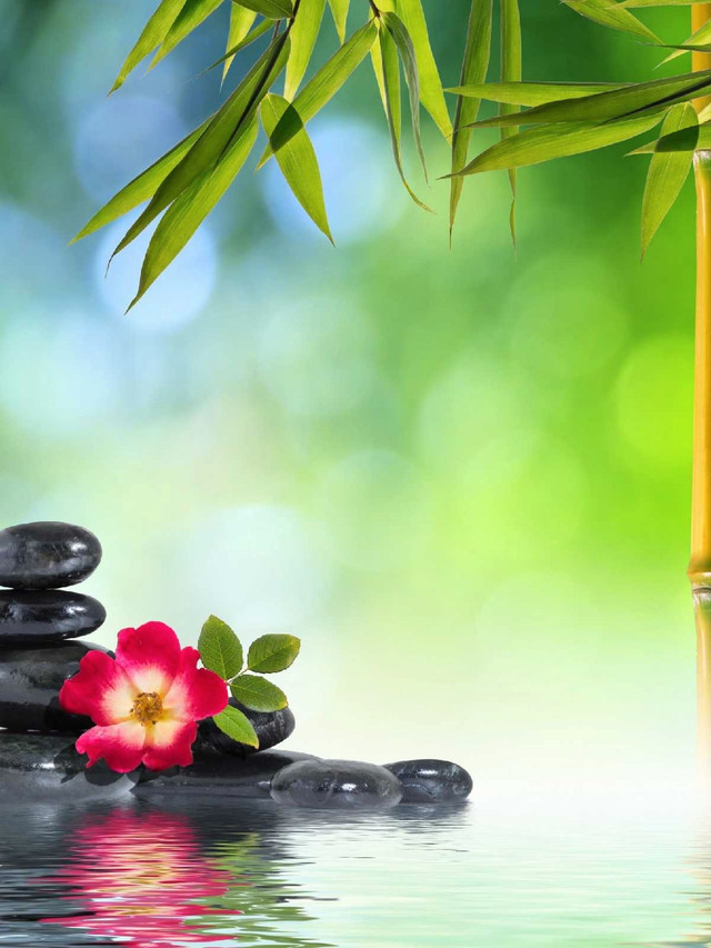 Thai massage - St. Albert in Massage Services in St. Albert
