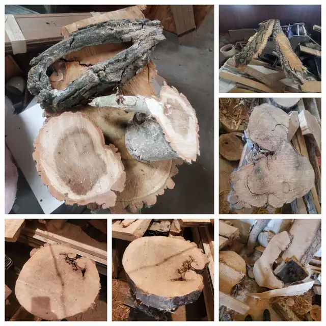 Raw Wood Slabs, Cookies, & Craft Pieces! in Other in Regina - Image 5