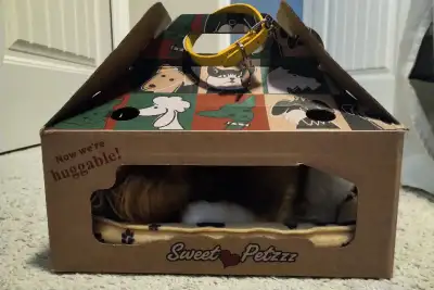 Sweet Petzzz Puppy Dog With Collar $25 OBO