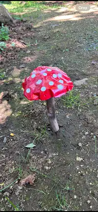 Garden mushrooms