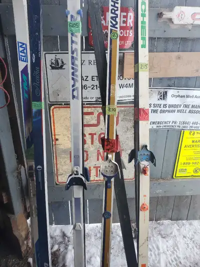Elan, Dynastar, Karhu, and Fischer Cross Country Skis, View more