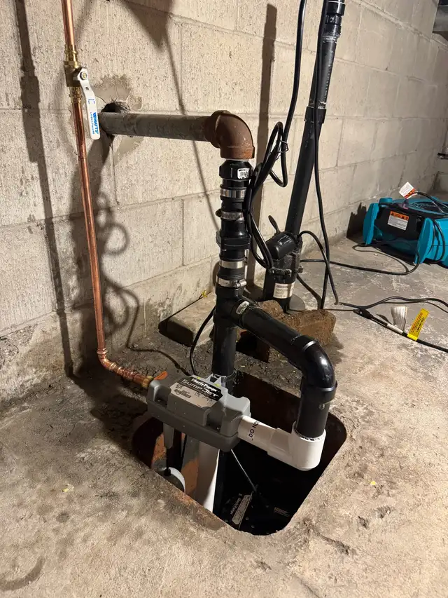 Licensed plumber 544786223277035524