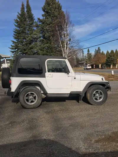 Wrangler Sport 2 yr old paint front fenders and floor pans. Runs great. Needs windshield heater moto...