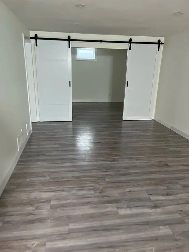 basement development 431102853876305920