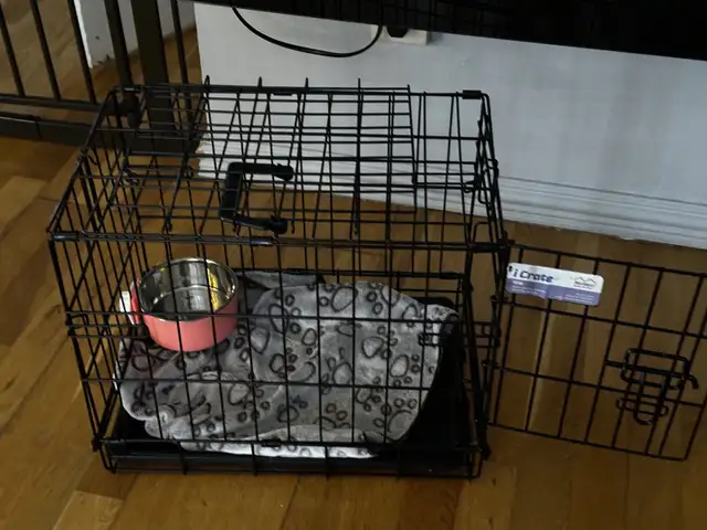 Cage pour petit chien in Accessories in Laurentides - Image 2