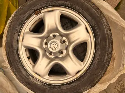 Winter tires are too old. But the rims are good.