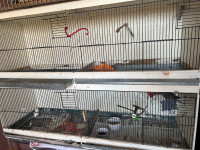 Large home made cages with trays