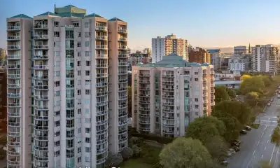 Bright spacious downtown condo for rent