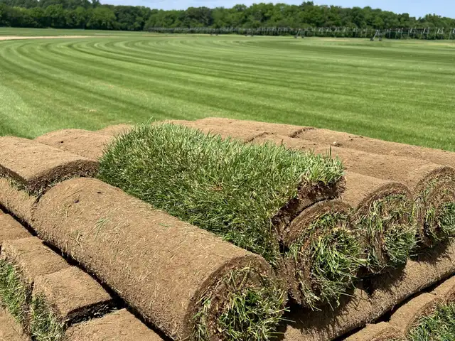  SOD & SOIL PACKAGE – 700 SQFT – ONLY $549.00! 62864364001155121