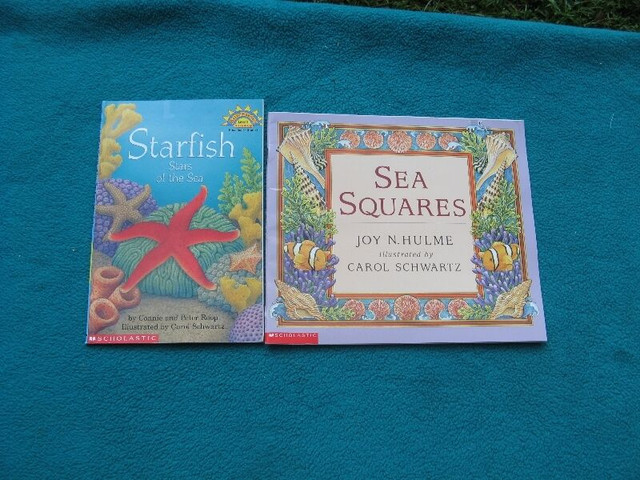 Starfish and Sea Squares in Other in Norfolk County