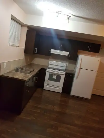 Basement for rent in Saddleridge NE, close to all amenities. No smoking and no pets home. Rent is $1...