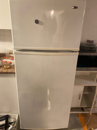 Amanda fridge