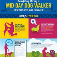 Benefits of Hiring A Dogwalker