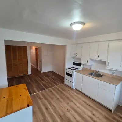 À LOUER – GRAND 3 ½ LUMINEUX | PRÈS DU PARC BELLERIVE POSSIBILITÉ DE STATIONNEMENT PRIVÉ DISPONIBLE...