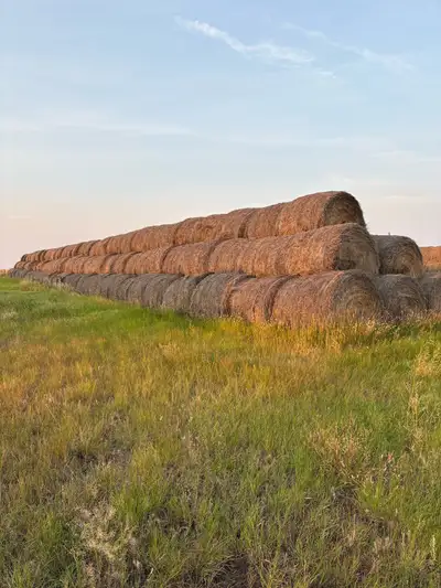 2025 Hay Bales, View more