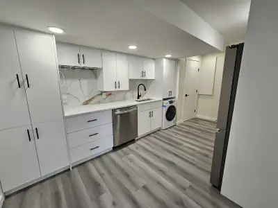 renovation and handyman services , View more