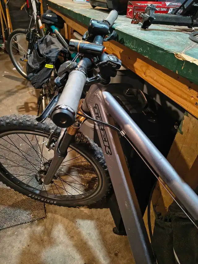Trek Bruiser428495639727974404