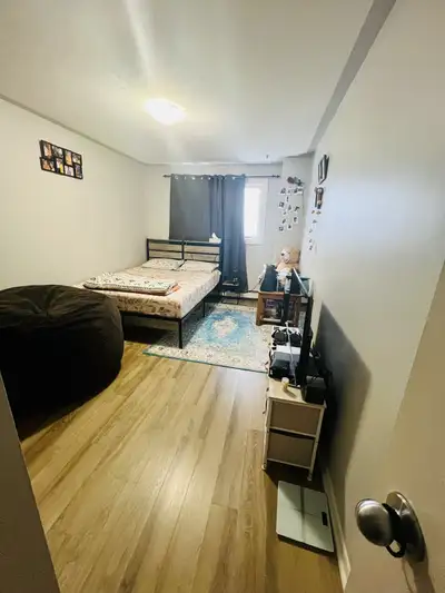 Private Room Available – Highfield, Dartmouth A private room is available in a clean and quiet 2-bed...