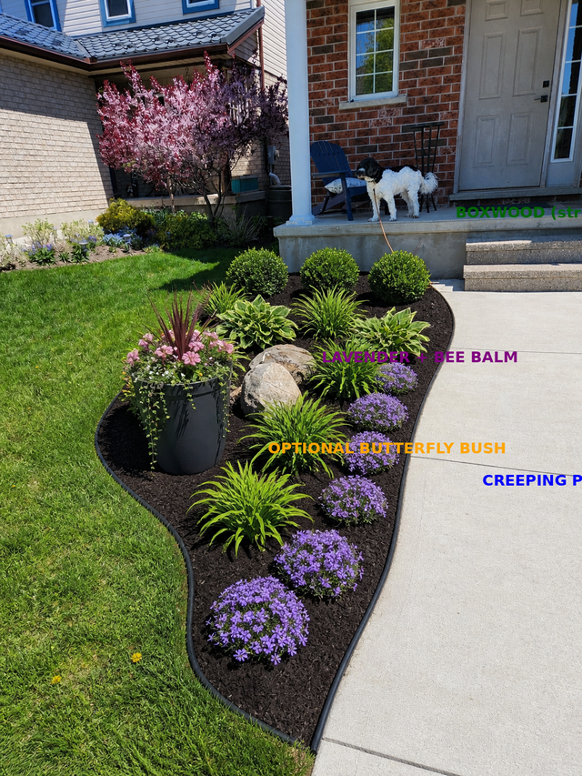 Garden makeover needed. London ON476837446849013763