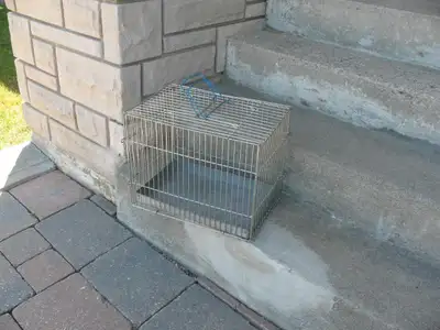 Small Metal Pet Crate, View more