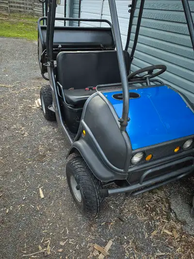 2012 trail wagon tw200 gas powered electric start light bar new carb and battery 2wd dump box shovel...