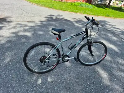 Specialized Expedition Cruiser bicycle, View more